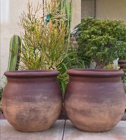 Clay pots