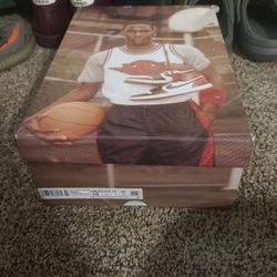 Jordan 1s