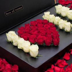 Valentines Day Gifts