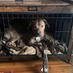 Large Dog Crate Furniture With Tray - End Table 