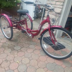 3 WHEEL CRUISER $100