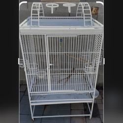 Bird Cage 