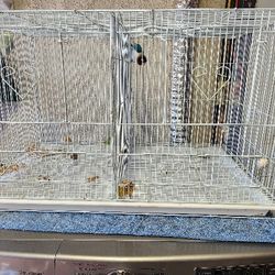 Bird Cage With Divider