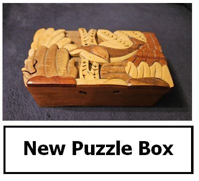 New Puzzle Box