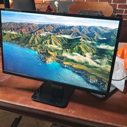 Dell 22”+ Computer Monitor S234Mc 