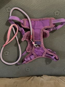 Xl Dog Harness
