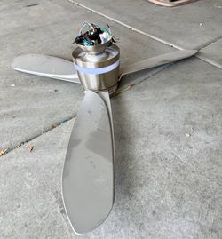 Fan