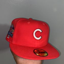 Cubs Fitted