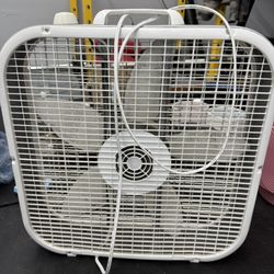 Fan 