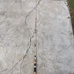 Fishing Pole 