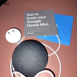 Google Mini 