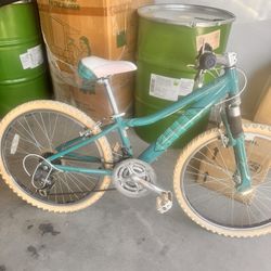 Teal Bike