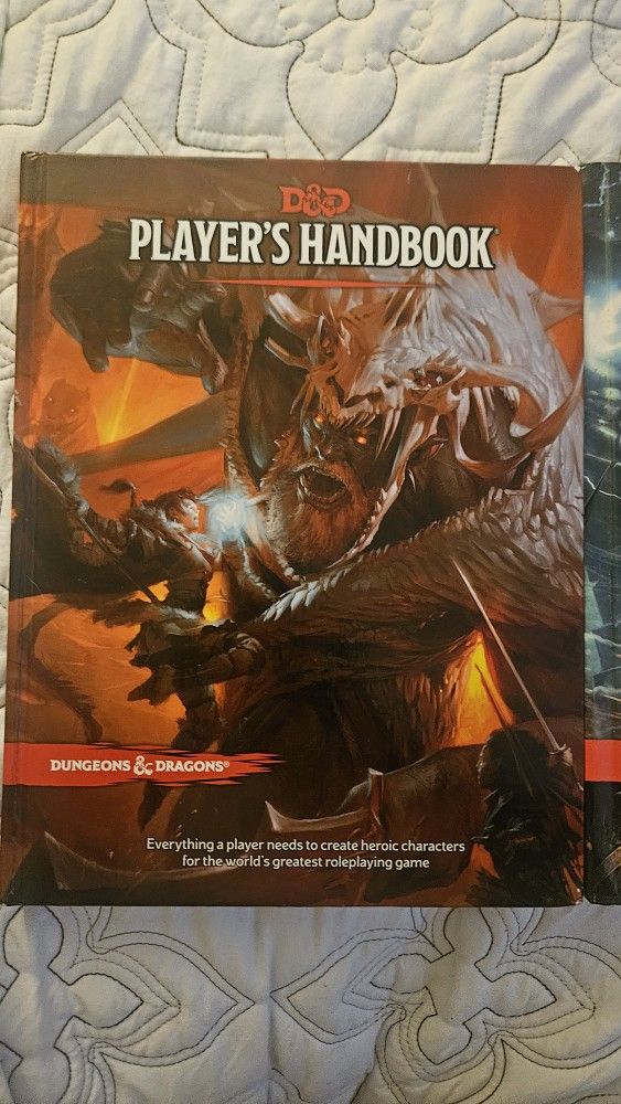 Dungeons & Dragons Play Set