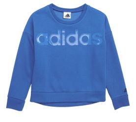 Blue addidas sweatshirt