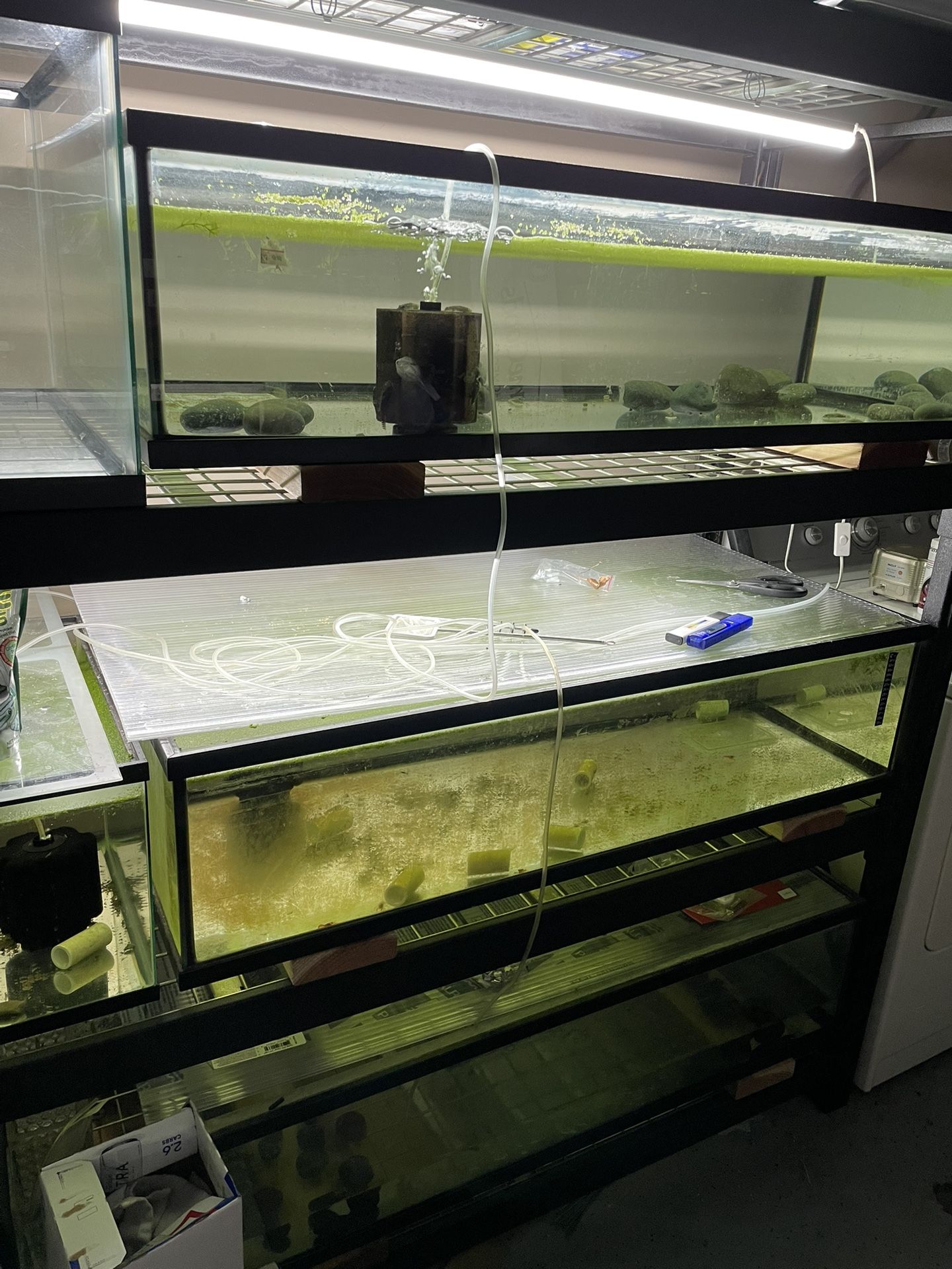 AQUARIUM FISH TANK (Shallow Tank - Lowboy)