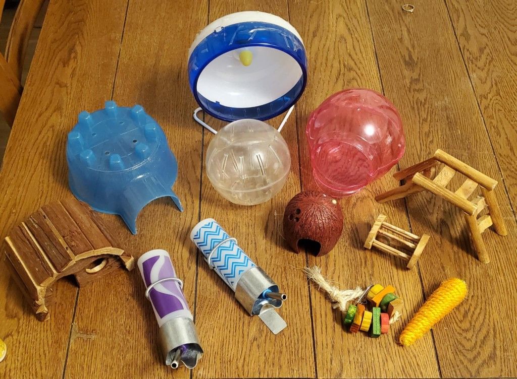 Hamster Supplies 