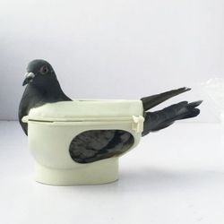 Pigeon Medicine Feeder Easy Use Compact Pigeon Fixed Mount for Pigeon / Pigeons / Pigeon / Birds