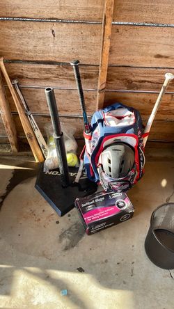 Easton softball bag bats
