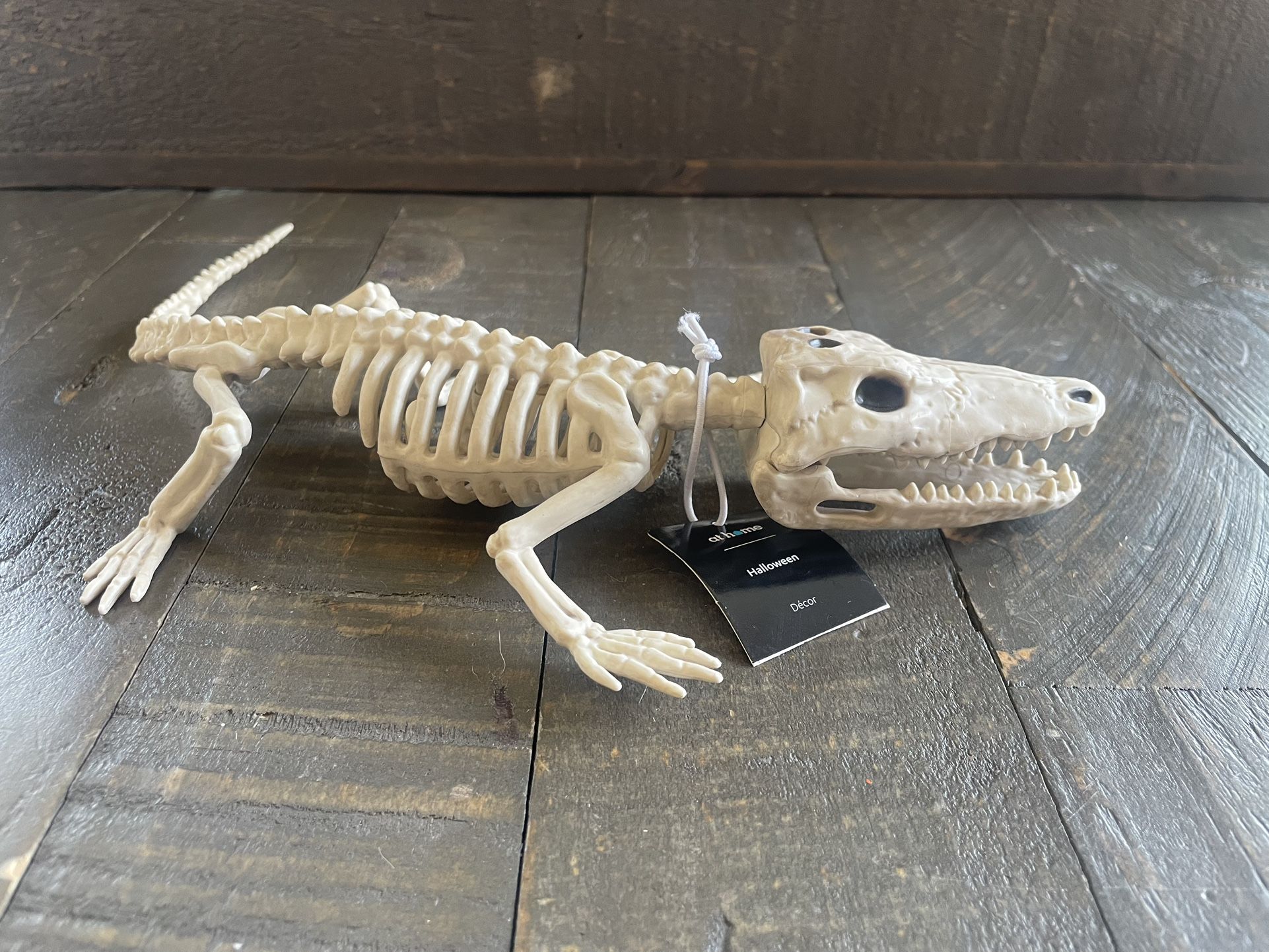 NEW - Plastic Alligator/ Crocodile Skeleton With Moving Mouth And Rotating Head