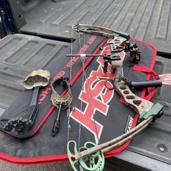 Bear Element Bow 