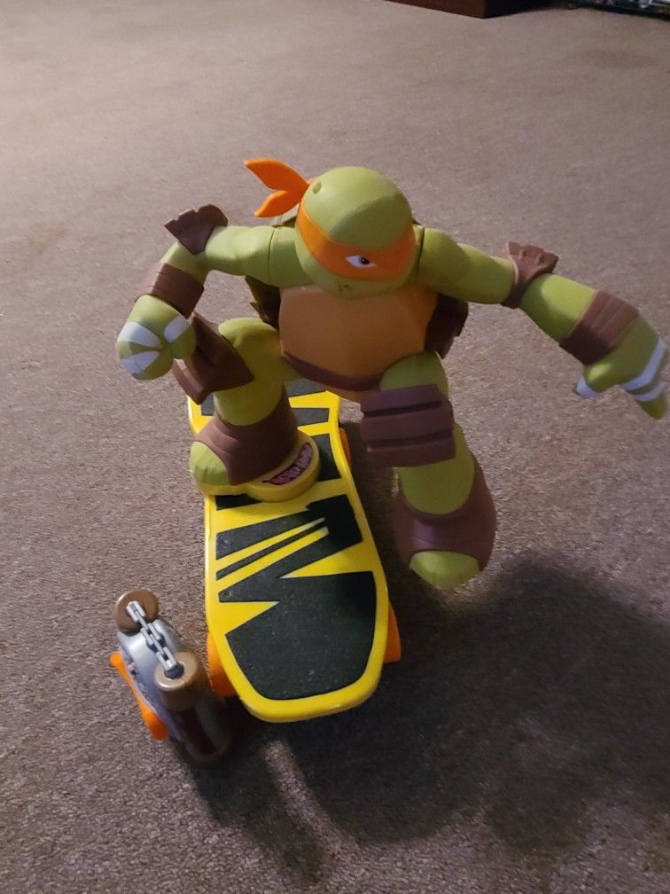 Remote Control Turtle 