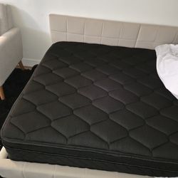 Full Daybed with mattress