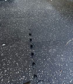 Gum mats