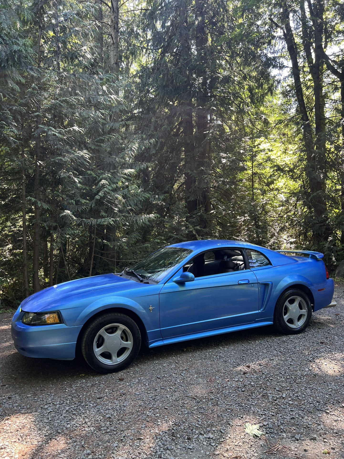 2003 Ford Mustang