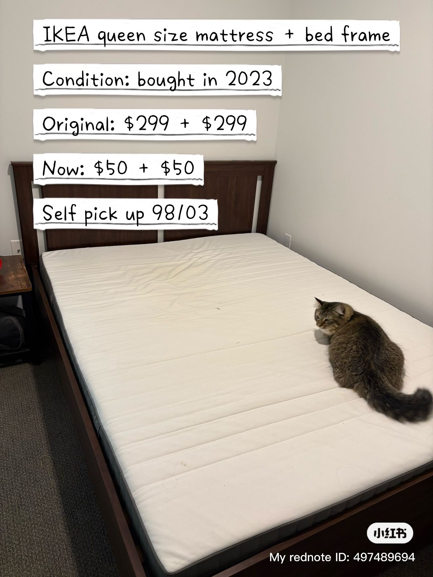 IKEA Queen Size Mattress + Bed Frame