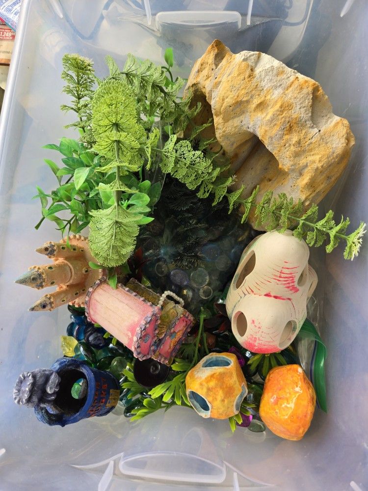 Aquarium Decoration, Filters And Pumps