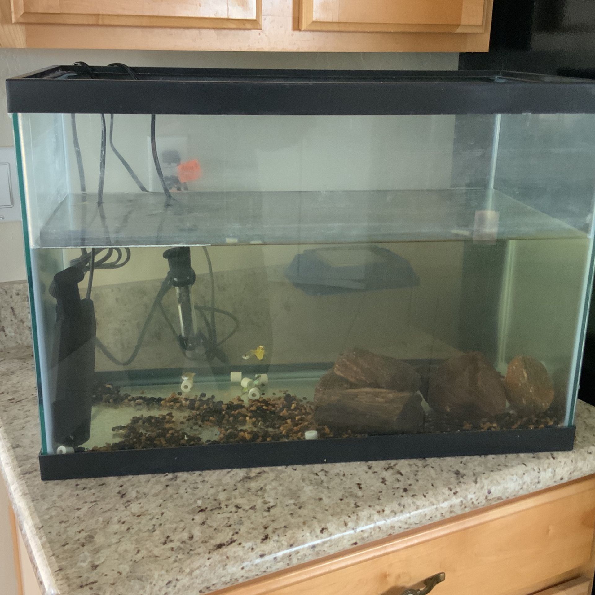 Lelie draagbaar Verdienen Fish Tank - Tera Glass Aquarium 20 Gallons for Sale in Chandler, AZ -  OfferUp