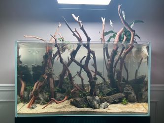 Rimless Aquarium