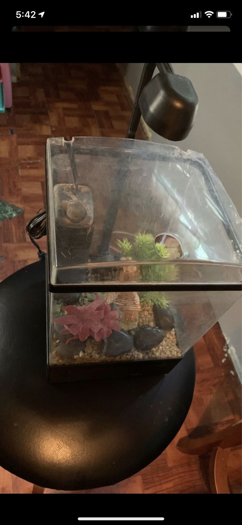 Small fish tank $15