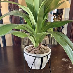 Artificial House Plant