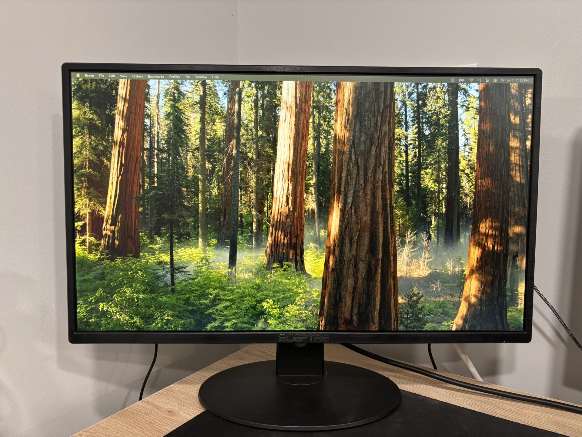 24” Sceptre Gaming Monitor