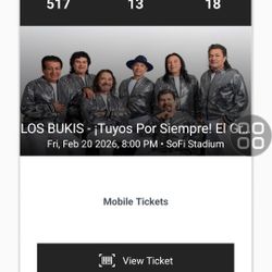 Los Bukis Boletos