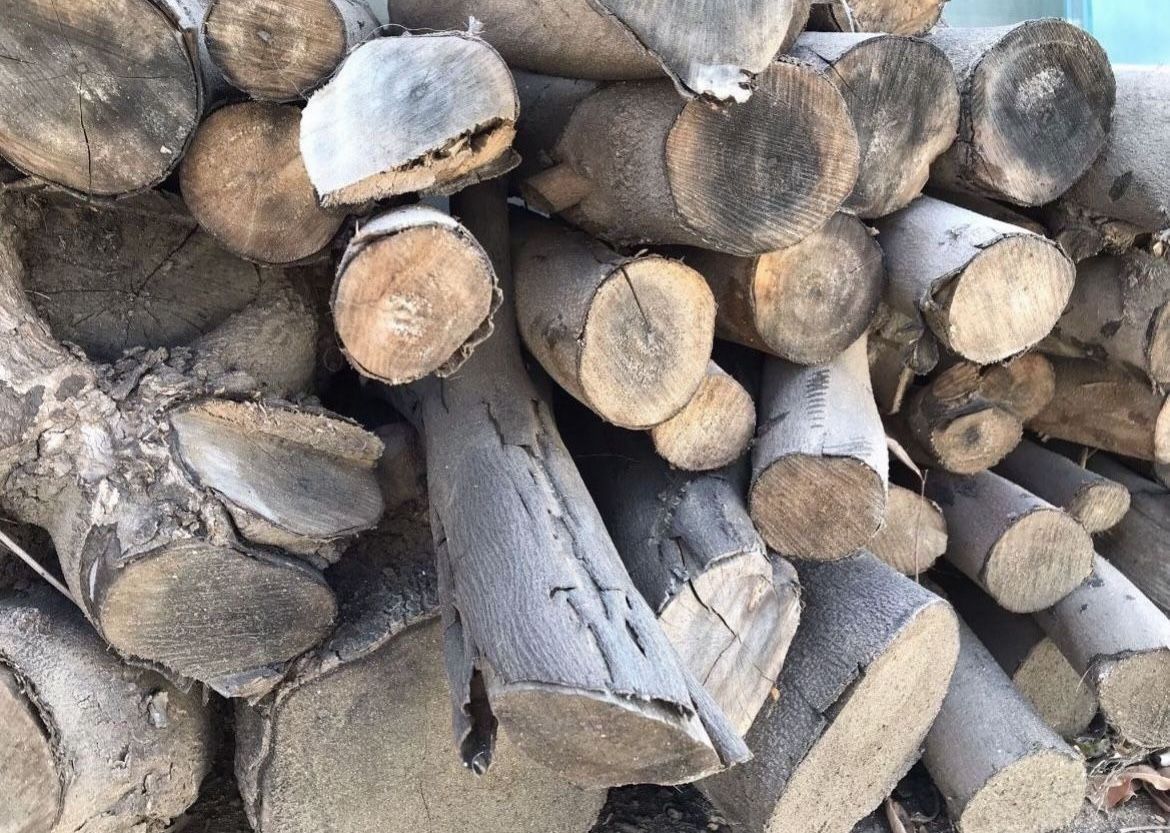 Firewood