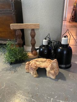 Premium Reptile Terrarium Accessory Bundle
