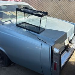 Reptile/insect Cage With Heater