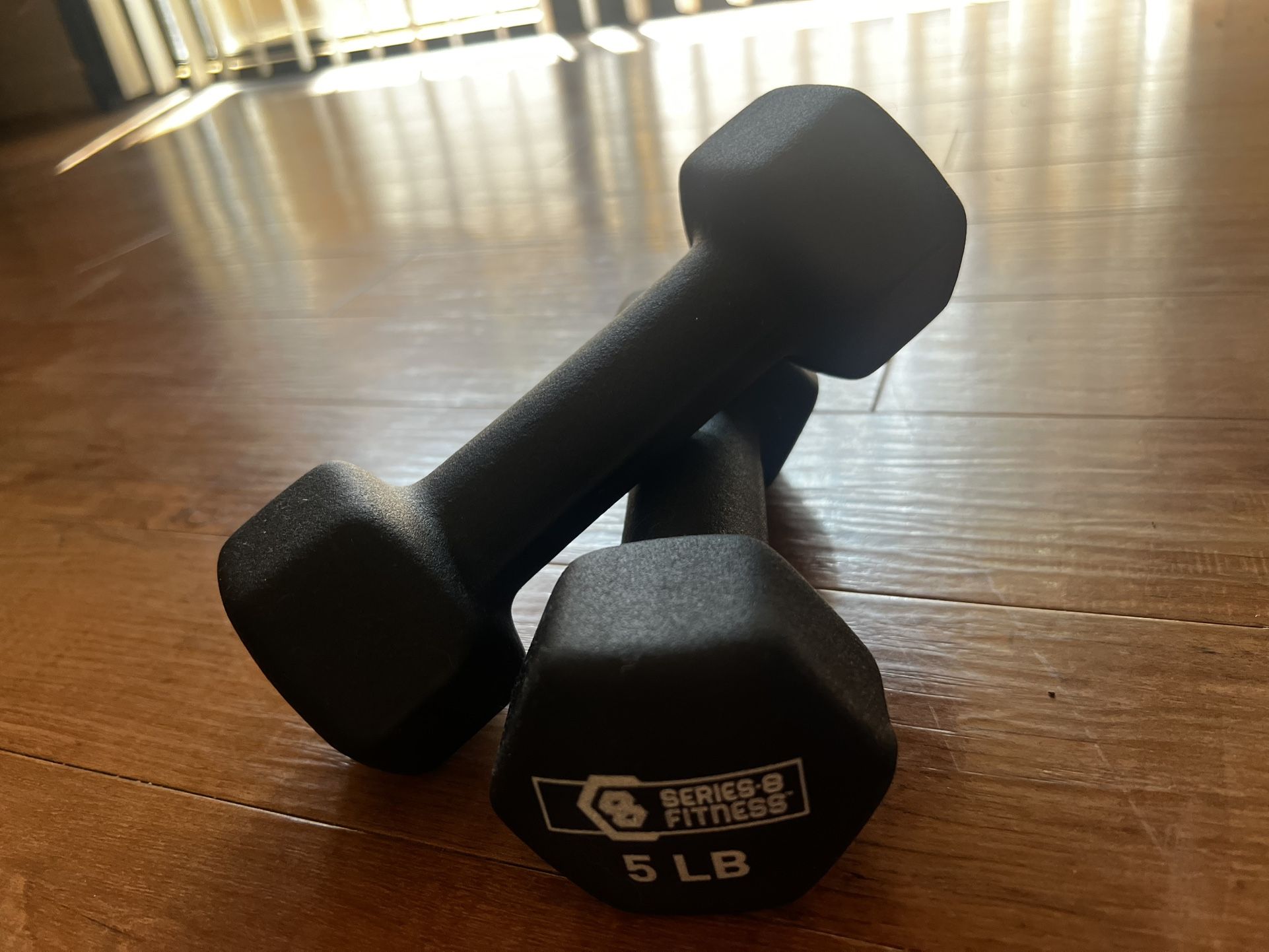 Two 5lb weights