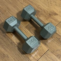 Two 20lb Dumbbells