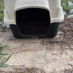 Dog House 