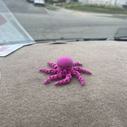 Octopus