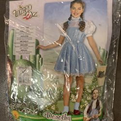 Dorothy Costume