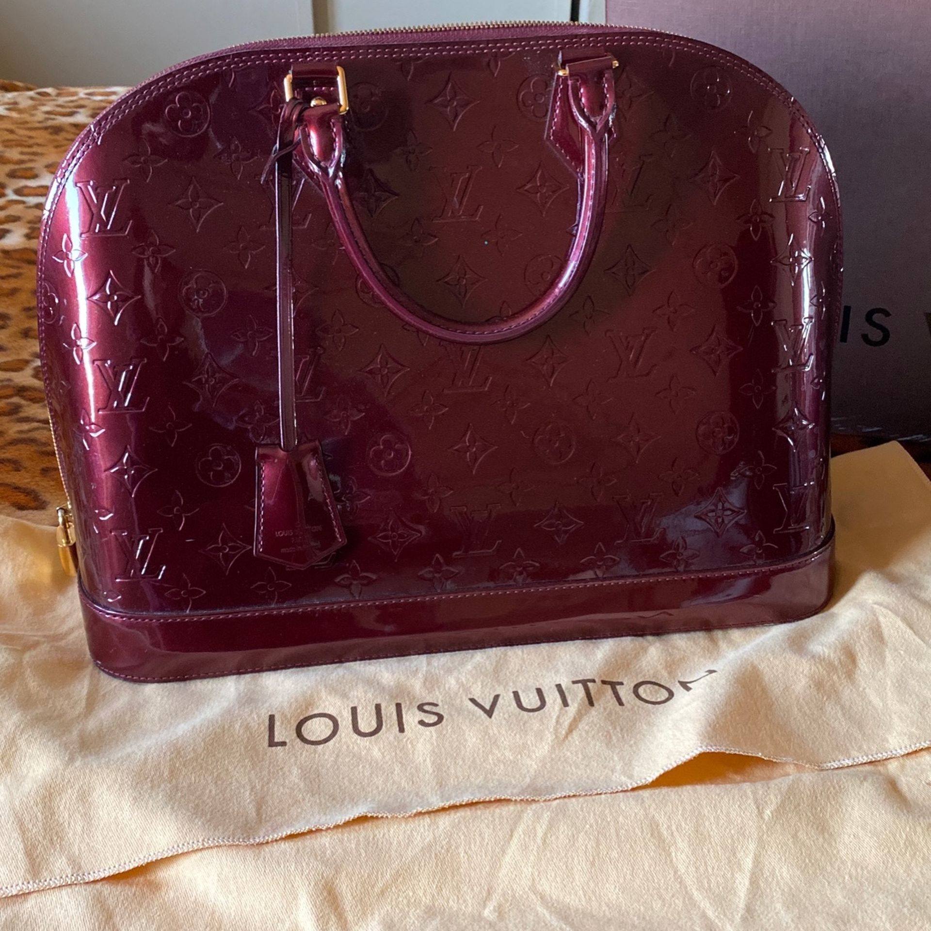 Louis Vuitton Bag Clothing