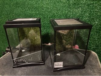 Tarantula tanks