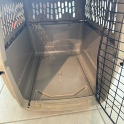 Dog Kennel