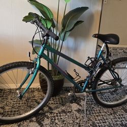 Specialized Hard Rock Bike