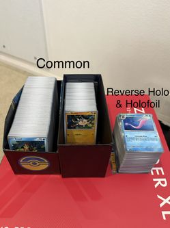 Pokémon Destined Rivals Bulk
