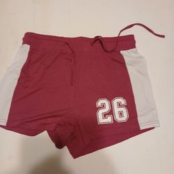 Women's Shorts Size L/XL 